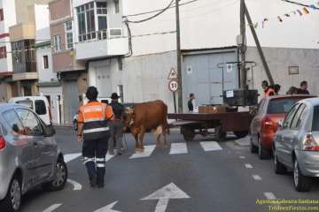 Romerías del Carmen en Marpequeña, Medianía y Las Huesas (Foto TF y TA)
